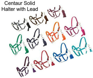 Centaur Solid Halter with Lead