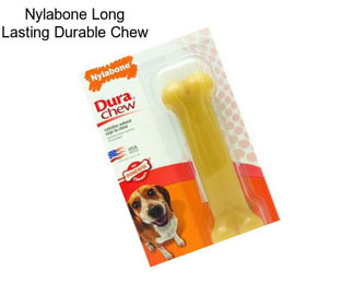 Nylabone Long Lasting Durable Chew