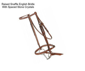 Raised Snaffle English Bridle With Spaced Stone Crystals