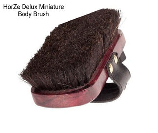 HorZe Delux Miniature Body Brush