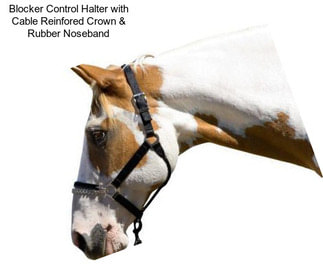 Blocker Control Halter with Cable Reinfored Crown & Rubber Noseband