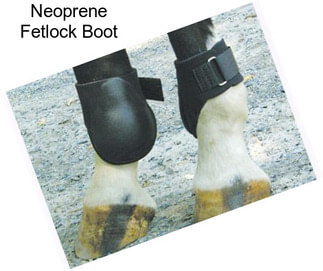 Neoprene Fetlock Boot