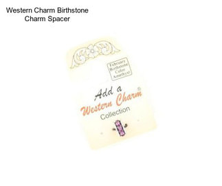 Western Charm Birthstone Charm Spacer