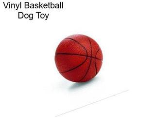 Vinyl Basketball Dog Toy