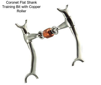 Coronet Flat Shank Training Bit with Copper Roller