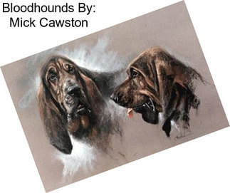 Bloodhounds By: Mick Cawston