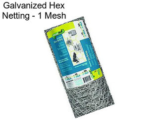 Galvanized Hex Netting - 1\