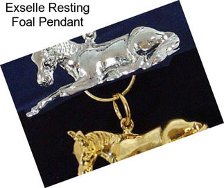 Exselle Resting Foal Pendant