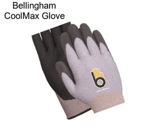 Bellingham CoolMax Glove