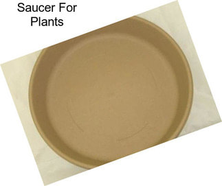 Saucer For Plants