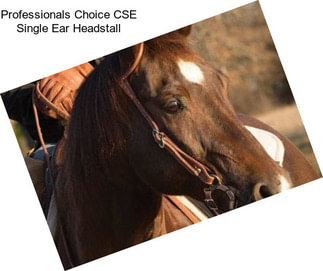 Professionals Choice CSE Single Ear Headstall