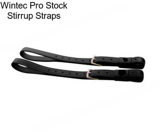 Wintec Pro Stock Stirrup Straps