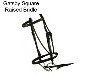 Gatsby Square Raised Bridle