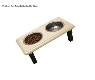 Posture Pro Adjustable double Diner