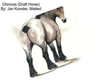 Chronos (Draft Horse) By: Jan Kunster, Matted