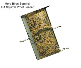 More Birds Squirrel X-1 Squirrel Proof Feeder