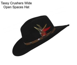 Tassy Crushers Wide Open Spaces Hat