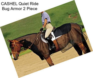 CASHEL Quiet Ride Bug Armor 2 Piece