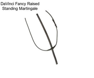 DaVinci Fancy Raised Standing Martingale