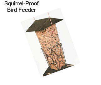 Squirrel-Proof Bird Feeder