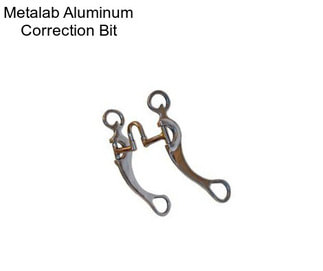 Metalab Aluminum Correction Bit