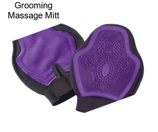 Grooming Massage Mitt
