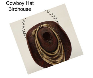 Cowboy Hat Birdhouse