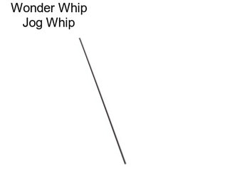 Wonder Whip Jog Whip