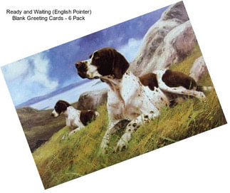 Ready and Waiting (English Pointer) Blank Greeting Cards - 6 Pack