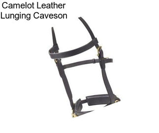 Camelot Leather Lunging Caveson