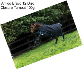 Amigo Bravo 12 Disc Closure Turnout 100g