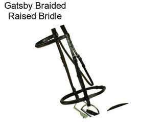 Gatsby Braided Raised Bridle