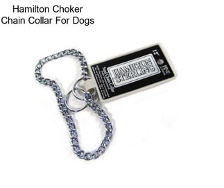 Hamilton Choker Chain Collar For Dogs