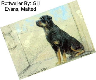 Rottweiler By: Gill Evans, Matted