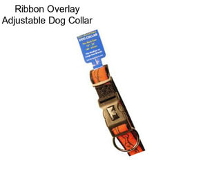 Ribbon Overlay Adjustable Dog Collar