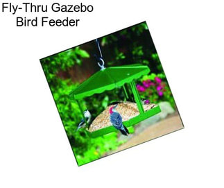 Fly-Thru Gazebo Bird Feeder