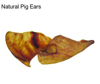 Natural Pig Ears