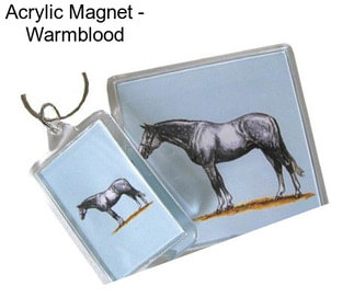 Acrylic Magnet - Warmblood