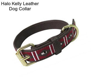 Halo Kelly Leather Dog Collar