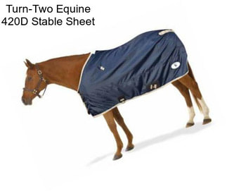 Turn-Two Equine 420D Stable Sheet