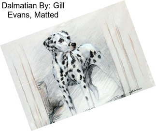 Dalmatian By: Gill Evans, Matted