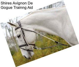 Shires Avignon De Gogue Trainng Aid