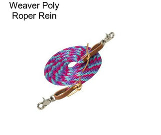Weaver Poly Roper Rein