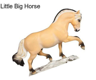 Little Big Horse