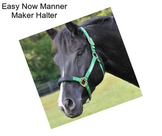 Easy Now Manner Maker Halter