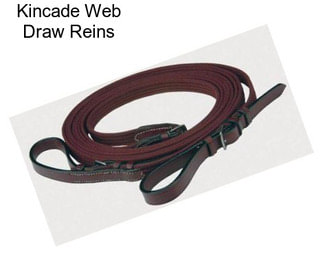 Kincade Web Draw Reins
