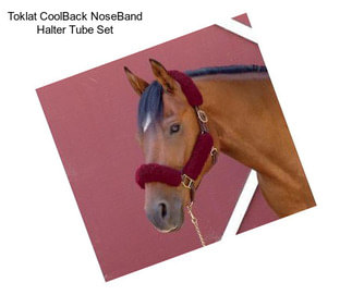 Toklat CoolBack NoseBand Halter Tube Set