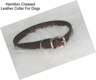 Hamilton Creased Leather Collar For Dogs