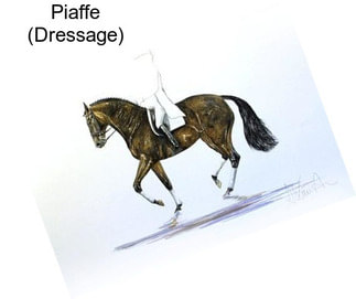 Piaffe (Dressage)