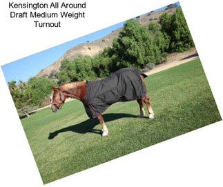 Kensington All Around Draft Medium Weight Turnout